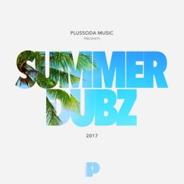 Various Artists - Summer Dubz 2017